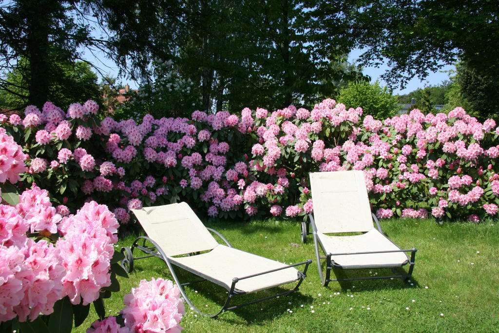 Pension Villa Edelweiss Sellin  Eksteriør billede