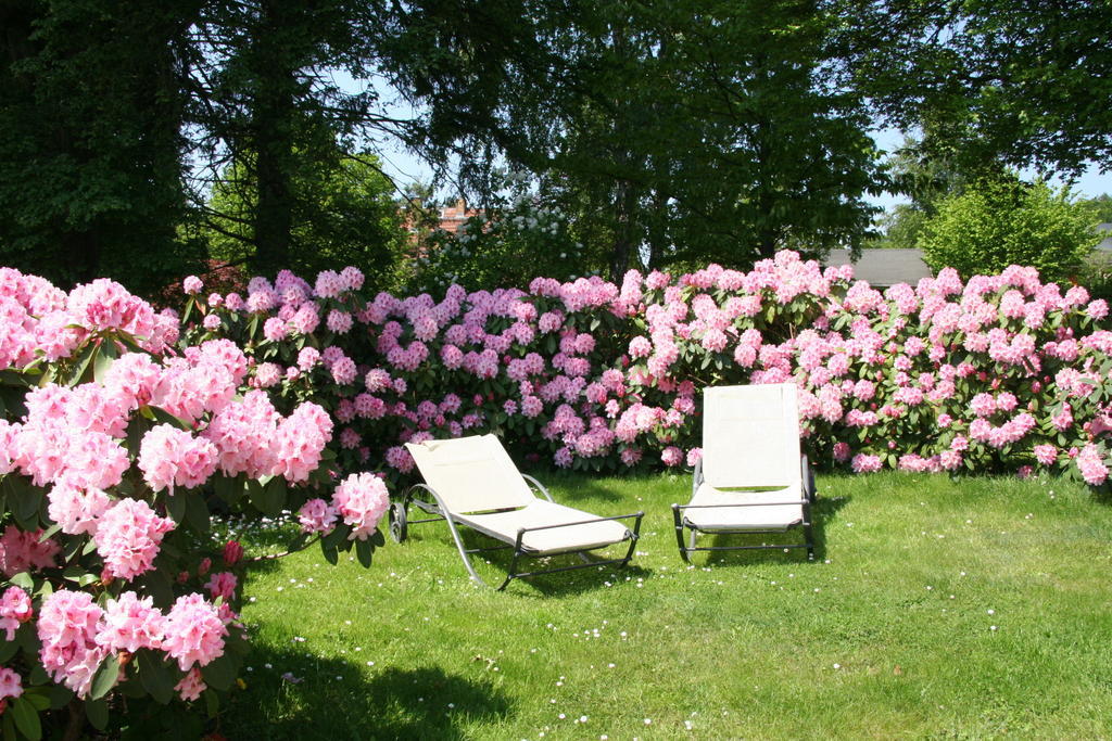 Pension Villa Edelweiss Sellin  Eksteriør billede